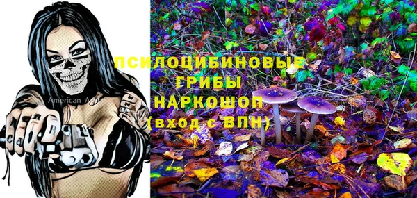 не бодяженный Горнозаводск