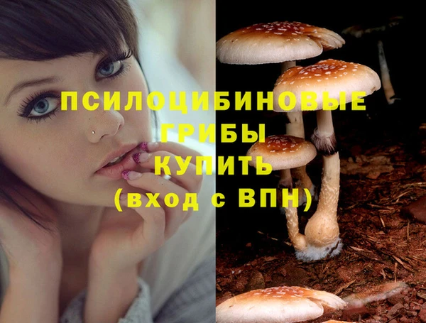 герыч Горно-Алтайск